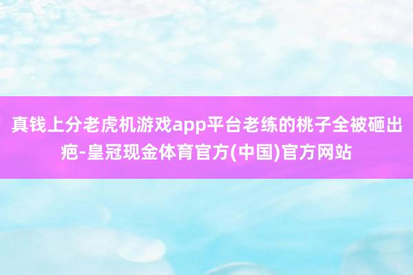 真钱上分老虎机游戏app平台老练的桃子全被砸出疤-皇冠现金体育官方(中国)官方网站