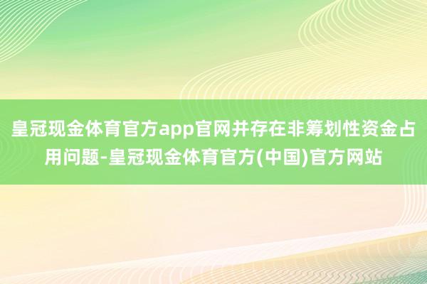 皇冠现金体育官方app官网并存在非筹划性资金占用问题-皇冠现金体育官方(中国)官方网站