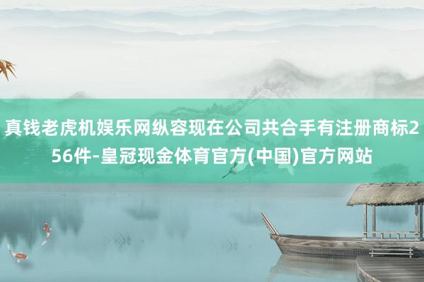 真钱老虎机娱乐网纵容现在公司共合手有注册商标256件-皇冠现金体育官方(中国)官方网站