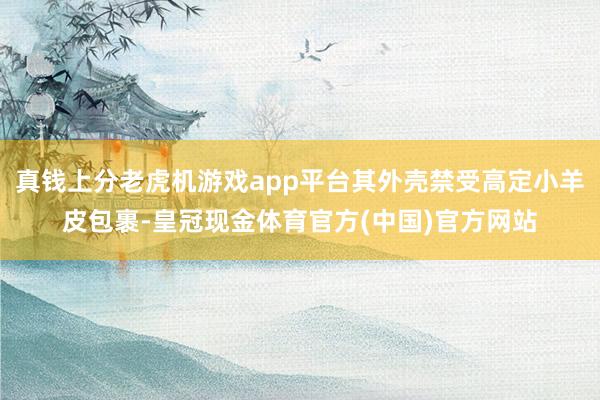 真钱上分老虎机游戏app平台其外壳禁受高定小羊皮包裹-皇冠现金体育官方(中国)官方网站