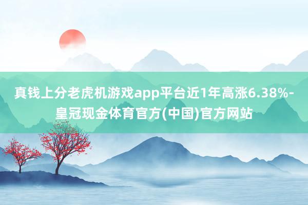 真钱上分老虎机游戏app平台近1年高涨6.38%-皇冠现金体育官方(中国)官方网站