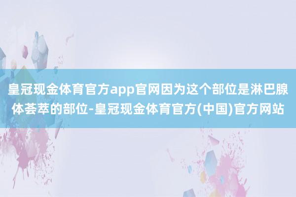 皇冠现金体育官方app官网因为这个部位是淋巴腺体荟萃的部位-皇冠现金体育官方(中国)官方网站