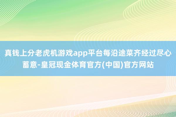 真钱上分老虎机游戏app平台每沿途菜齐经过尽心蓄意-皇冠现金体育官方(中国)官方网站