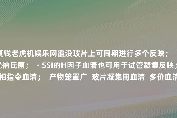 真钱老虎机娱乐网覆没玻片上可同期进行多个反映；  · SSI血清笼罩悉数已知梵衲氏菌；  · SSI的H因子血清也可用于试管凝集反映；  · SSI有王人全的相指令血清；  产物笼罩广  玻片凝集用血清  多价血清  单克隆Vi血清  O多群血清  O群血清  O因子血清  H多相血清  H单相血清  H因子  H:R相血清  相指令血清  SG搀杂血清 张开剩余47%丹麦ssi梵衲血清丹麦ssi