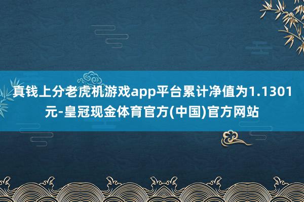 真钱上分老虎机游戏app平台累计净值为1.1301元-皇冠现金体育官方(中国)官方网站